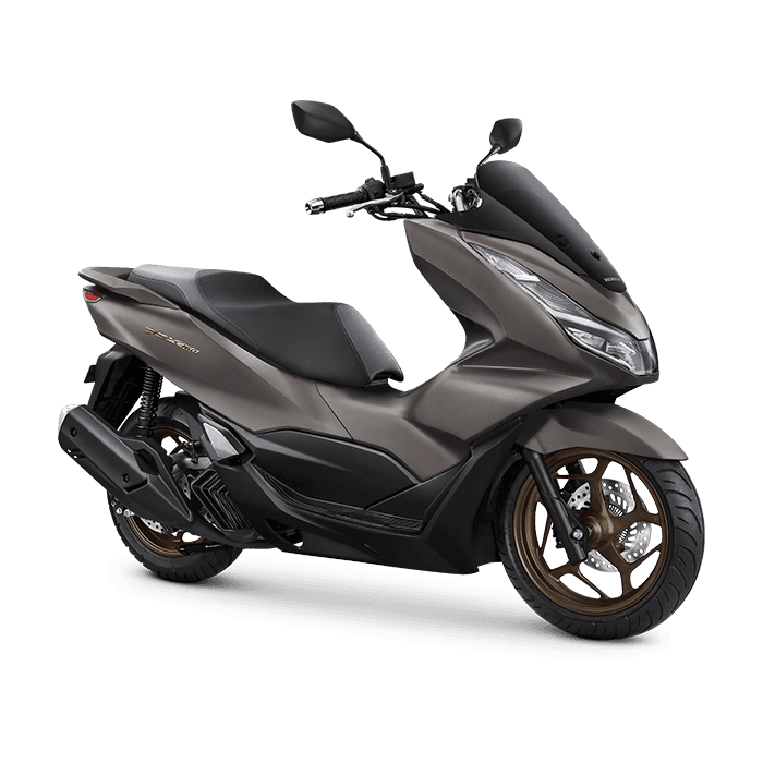 bike model